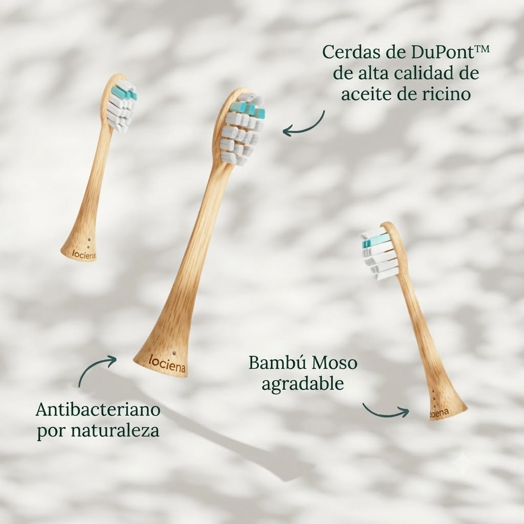 Cepillo de dientes sónico duradero