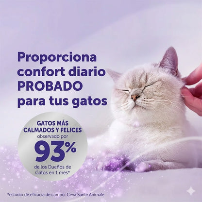 lociena Optimum Kit de Inicio