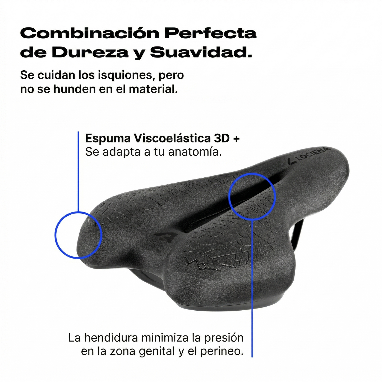 Lociena 3.0 Sport +