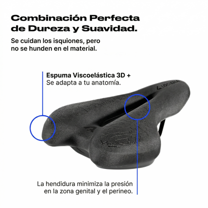 Lociena 3.0 Sport +