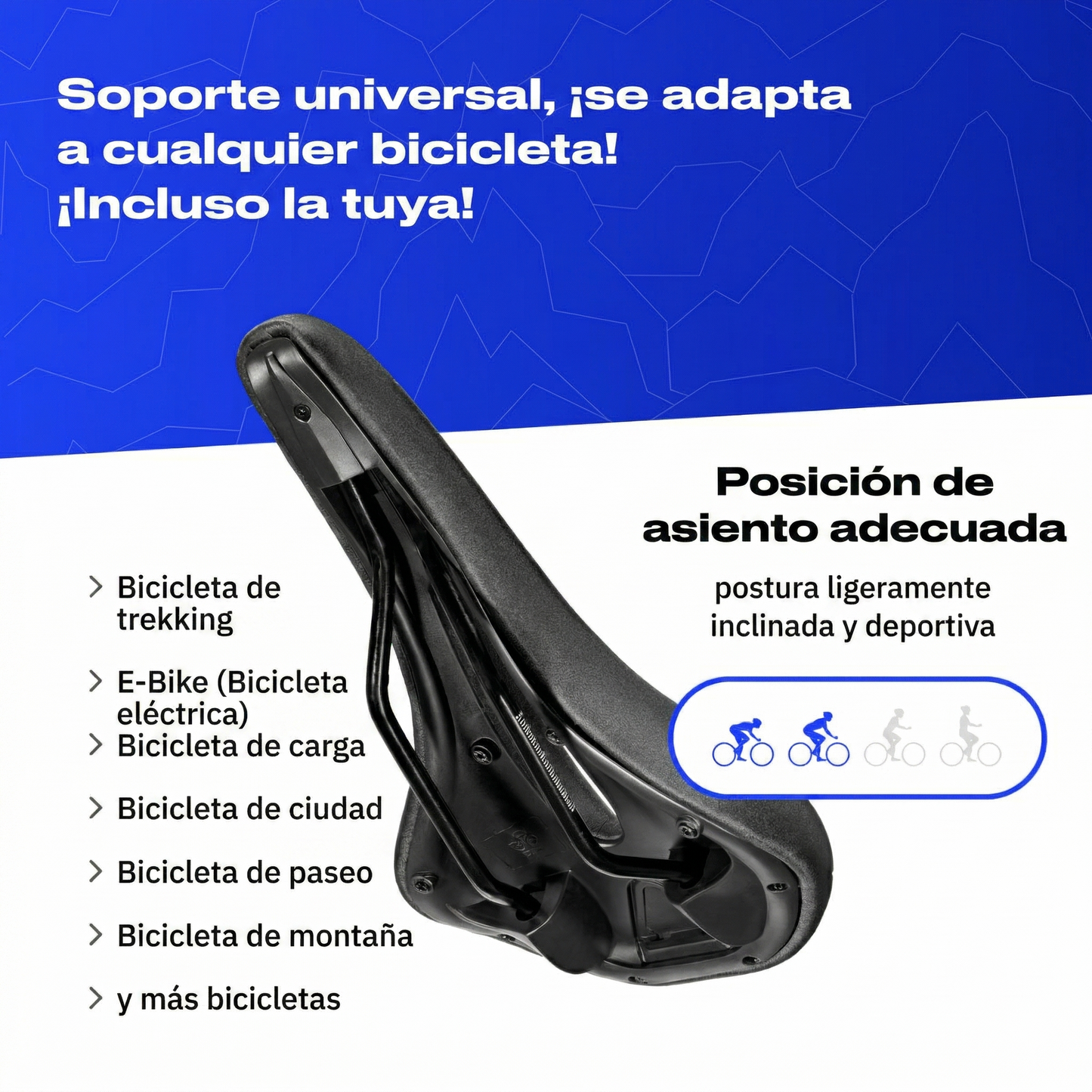 Lociena 3.0 Carrera +