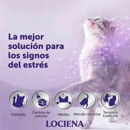 lociena Optimum Kit de Inicio